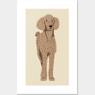 Standard Poodle Posters and Art